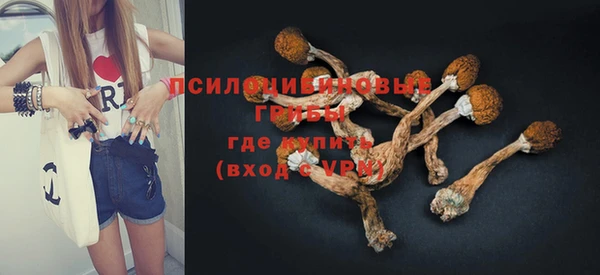стафф Белокуриха